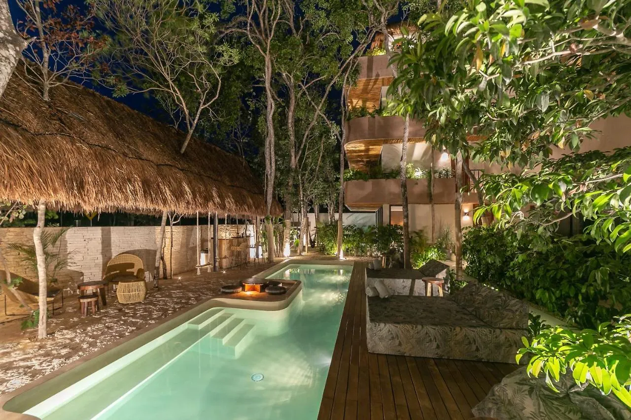 Zereno Tulum Beach Club Access contacts