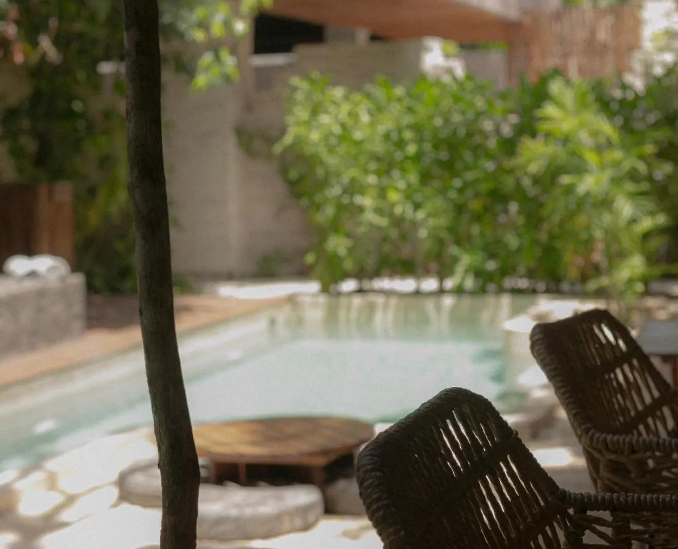 Zereno Tulum Beach Club Access Mexico