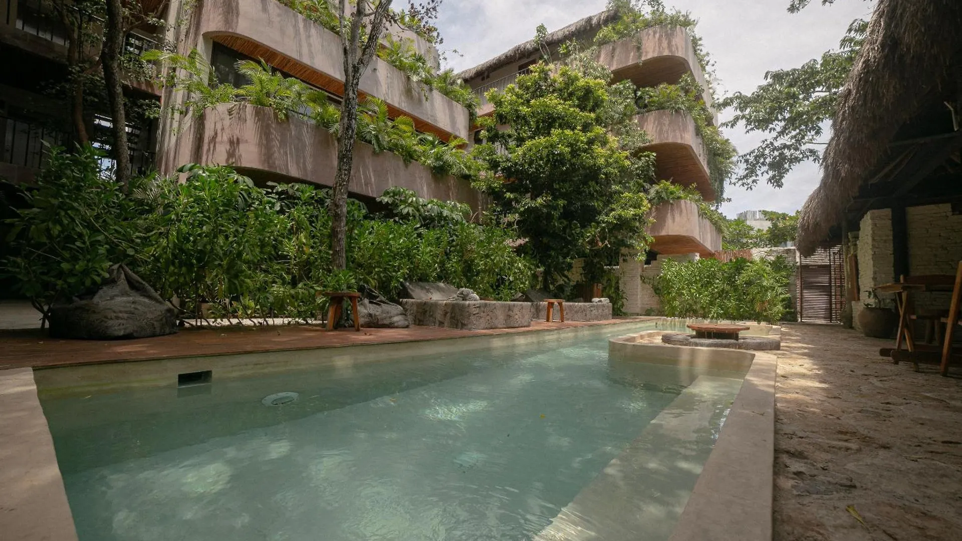 Zereno Tulum Beach Club Access
