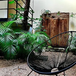 Unaluna By Rotamundos (adults Only) 4*, Tulum Mexico
